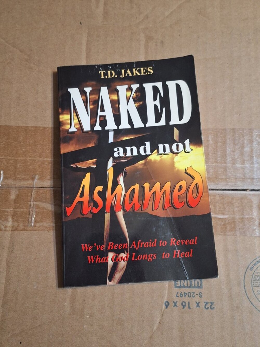 Naked and Not Ashamed